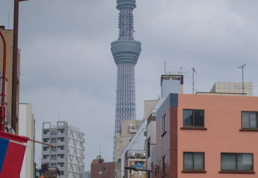 Japan 2019