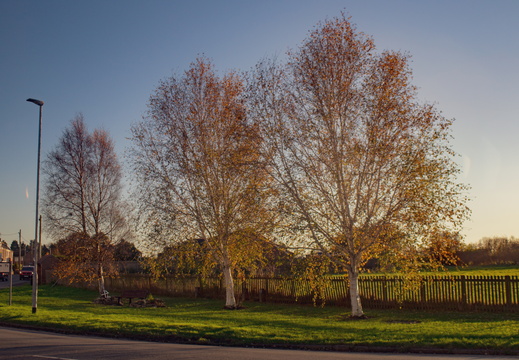 Autum 2023