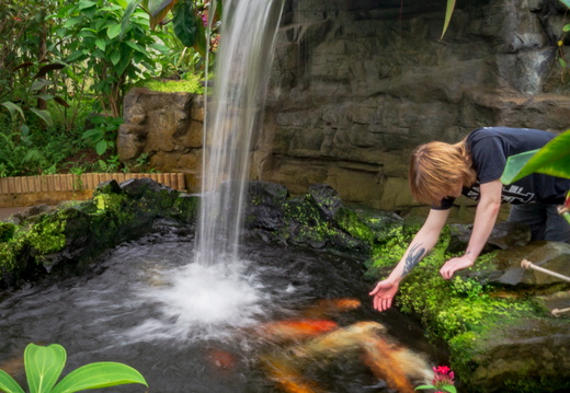 Butterfly World - Preston Park