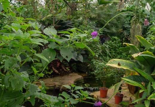 DSC06950